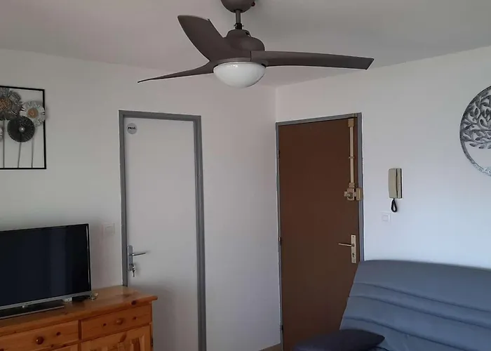 Renove 4 Pers Avec Loggia Et Parking, A 50m De La Plage! - Fr-1-326-757 Marseillan (Herault)