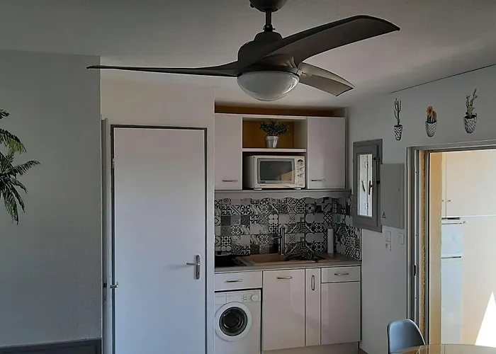 Appartement Renove 4 Pers Avec Loggia Et Parking, A 50m De La Plage! - Fr-1-326-757 Marseillan (Herault)
